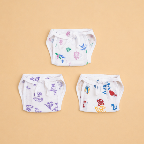 Langot (Pack of 3)